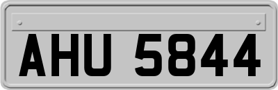 AHU5844