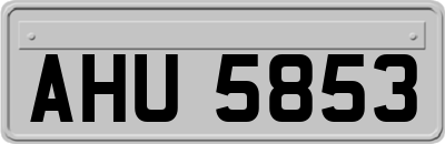 AHU5853