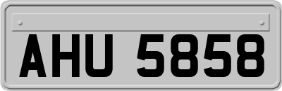 AHU5858
