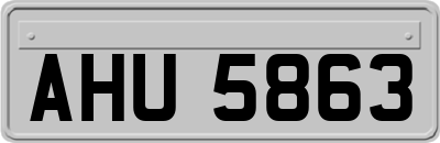 AHU5863