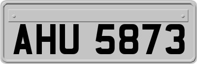 AHU5873