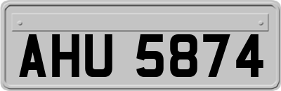 AHU5874