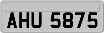 AHU5875