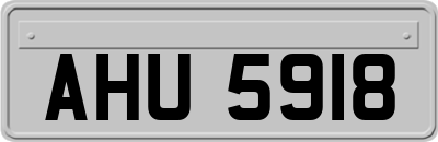 AHU5918