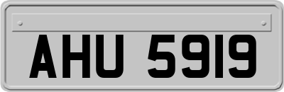 AHU5919