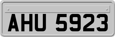 AHU5923