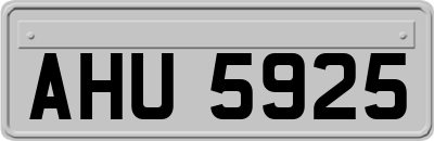 AHU5925