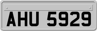 AHU5929