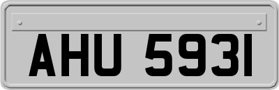 AHU5931