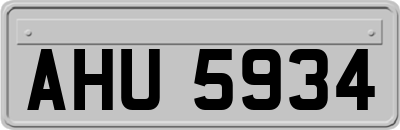 AHU5934