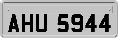 AHU5944