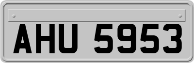 AHU5953