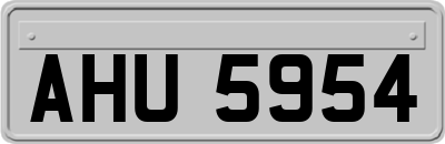 AHU5954