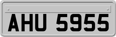 AHU5955
