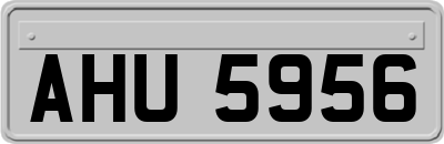 AHU5956