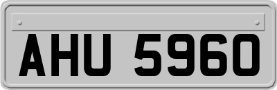 AHU5960