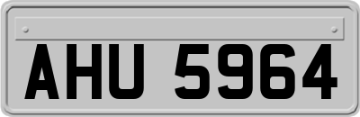 AHU5964