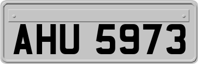 AHU5973