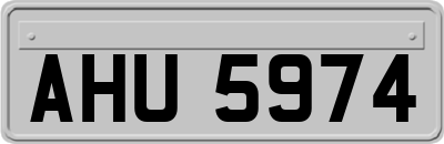 AHU5974