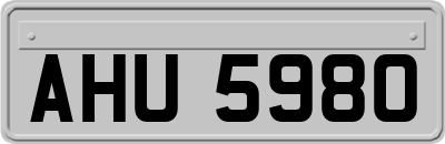 AHU5980