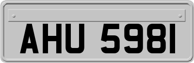 AHU5981