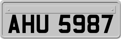 AHU5987