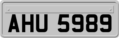 AHU5989