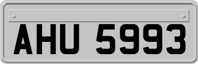 AHU5993