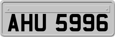 AHU5996