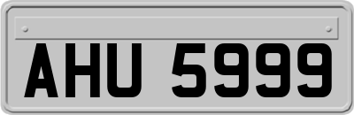 AHU5999