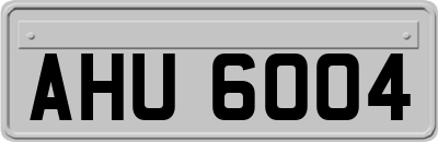 AHU6004