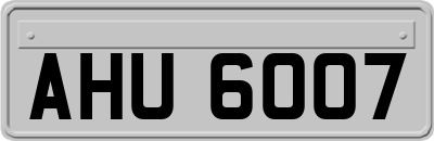 AHU6007