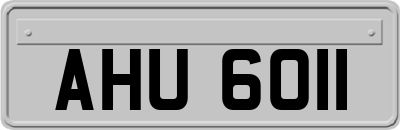AHU6011