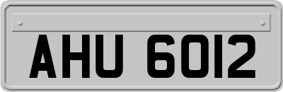 AHU6012