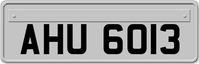 AHU6013