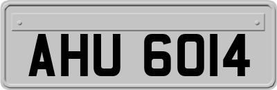 AHU6014