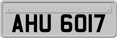 AHU6017