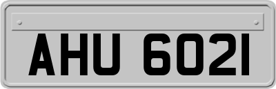 AHU6021