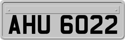 AHU6022