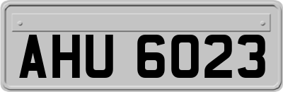 AHU6023