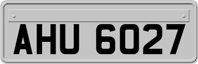 AHU6027