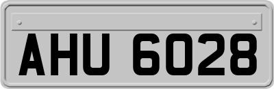 AHU6028