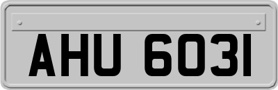 AHU6031
