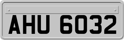 AHU6032