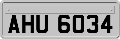 AHU6034