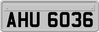AHU6036