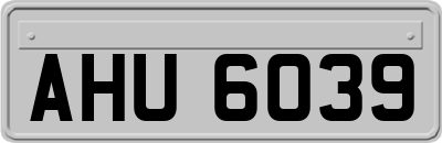 AHU6039