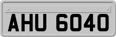 AHU6040