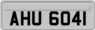 AHU6041