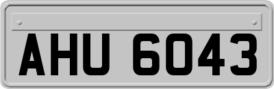 AHU6043